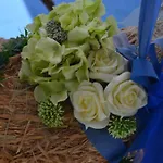 Flora Herzlake
