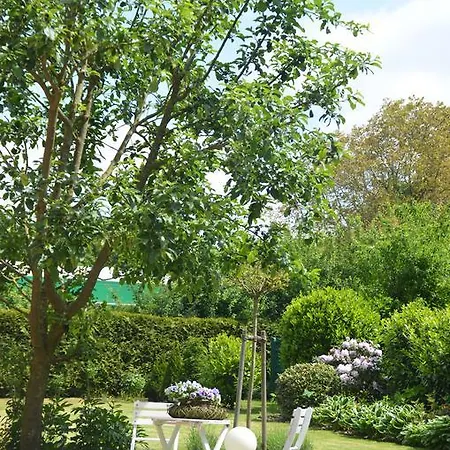 Ξενοδοχείο Flora 3*